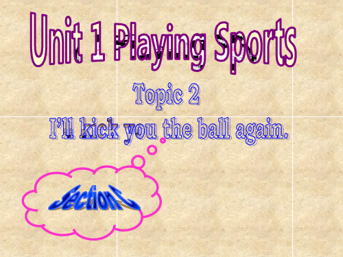 仁爱版八年级英语上册 Unit 1 Topic 2 Section C 课件(共25张PPT)