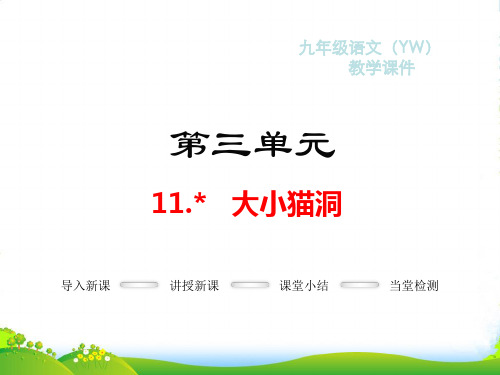 语文版九年级语文上册教学课件%3A11.大小猫洞(共14张PPT)