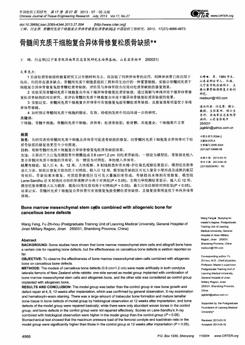 骨髓间充质干细胞复合异体骨修复松质骨缺损
