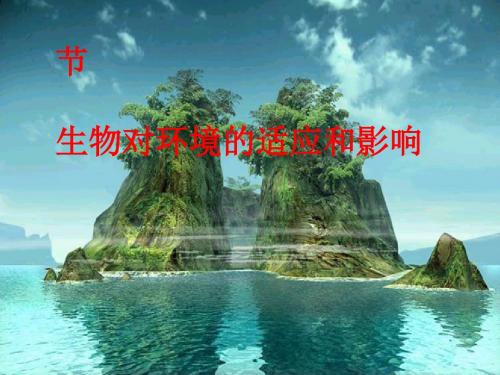 生物对环境的适应和影响PPT课件1 北京版