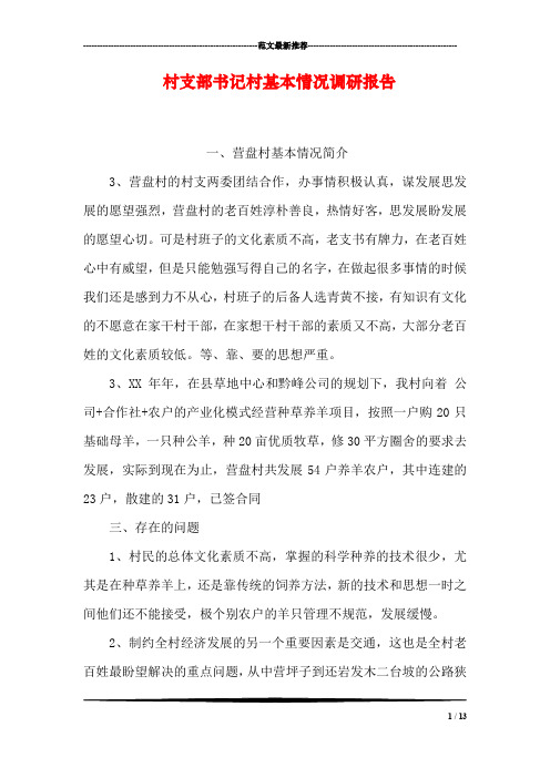 村支部书记村基本情况调研报告