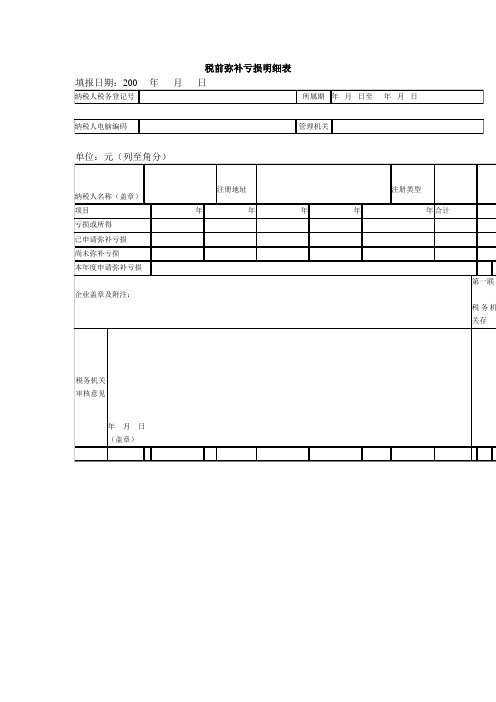 税前弥补亏损明细表