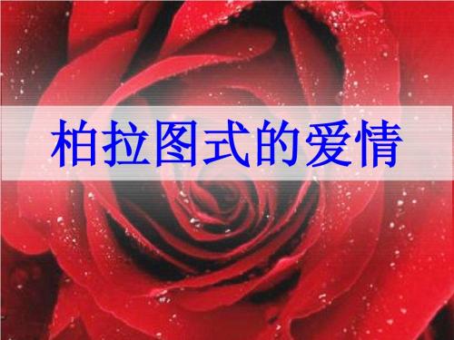 柏拉图式的爱情
