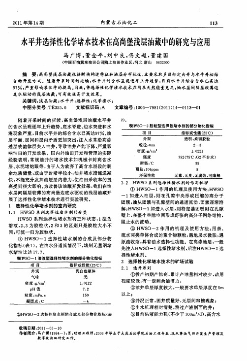 水平井选择性化学堵水技术在高尚堡浅层油藏中的研究与应用