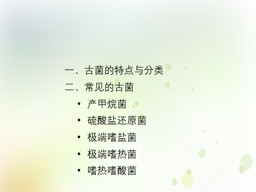 真核微生物的具体种类
