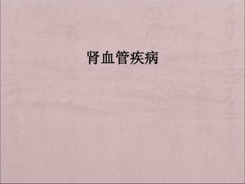 肾血管疾病ppt课件