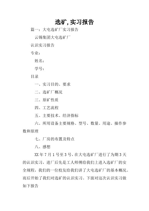 选矿,实习报告