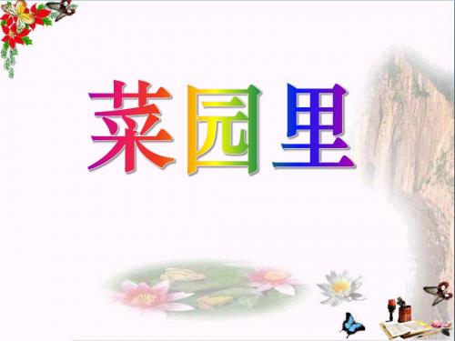 菜园里- 优秀PPT课件5