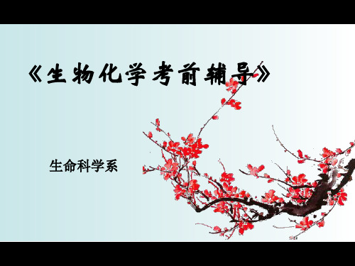 生物化学考前辅导班PPT课件
