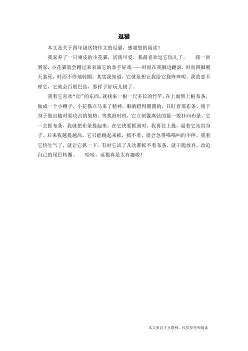 逗猫_四年级状物作文
