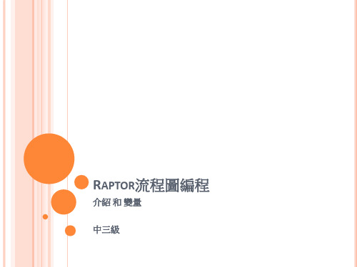 RAPTOR流程图编程13548