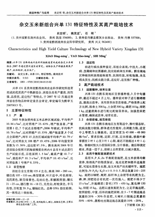 杂交玉米新组合兴单131特征特性及其高产栽培技术