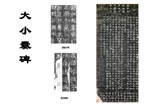 大小爨碑