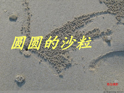 部编三年级上语文《②圆圆的沙粒》黄梅PPT课件 一等奖新名师优质课获奖比赛公开北师大