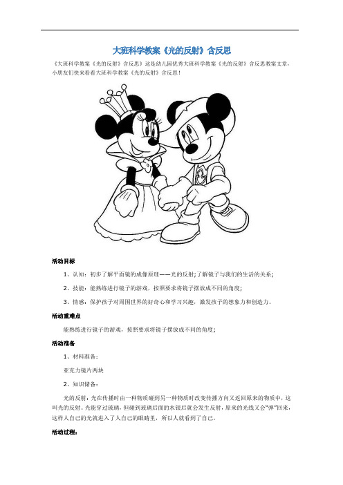 大班科学教案《光的反射》