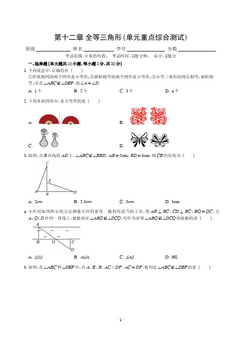 2024年八年级数学上册《全等三角形》及答案解析