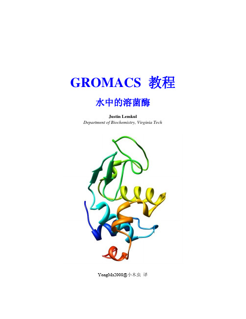 Gromacs教程-水中的溶菌酶