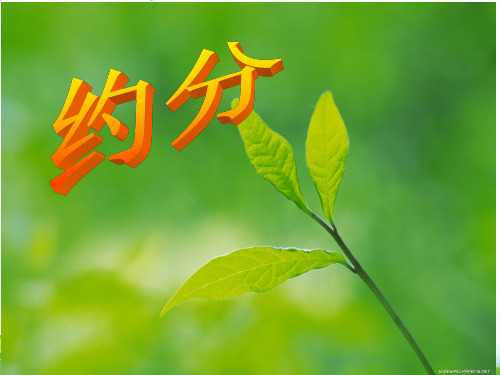 五年级下册数学PPT-约分-人教新课标(35张)-精品课件