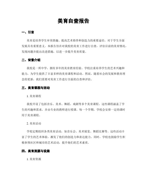 美育自查报告