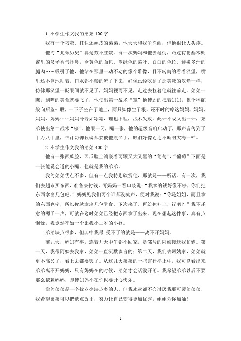小学生作文我的弟弟400字【七篇】(精选)