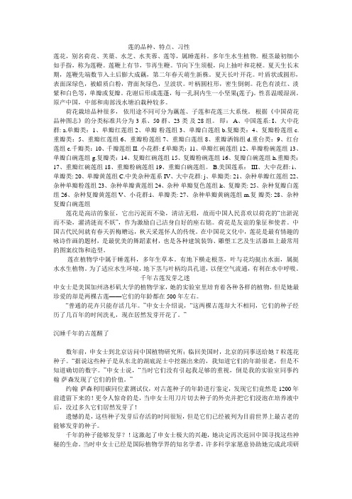 莲的品种
