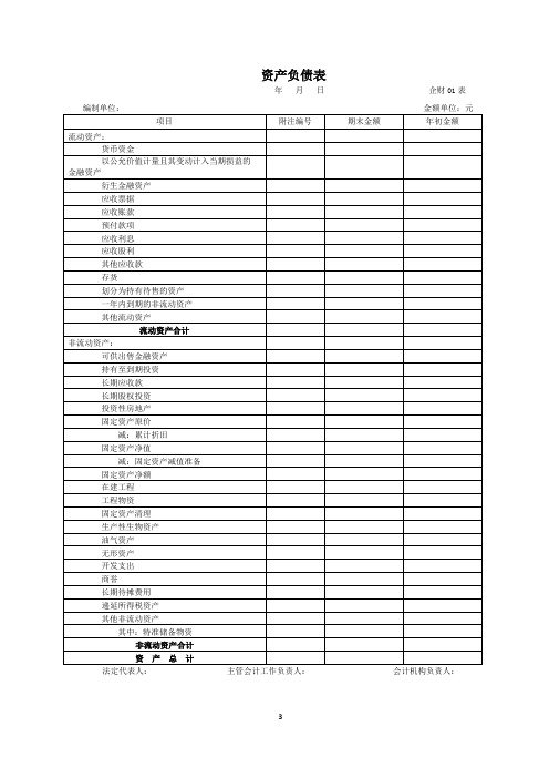 新版财务报表-Word模版(单体)