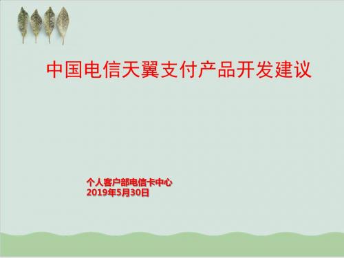 中国电信天翼支付产品开发建议PPT课件( 33页)