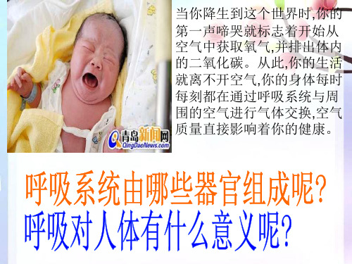 人教版七年级生物下册第四单元第三章第一节呼吸道对空气的处理课件