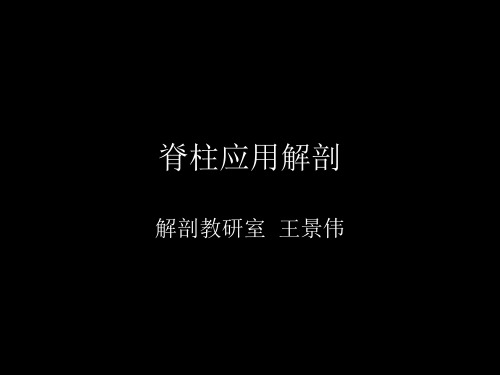 27脊柱应用解剖
