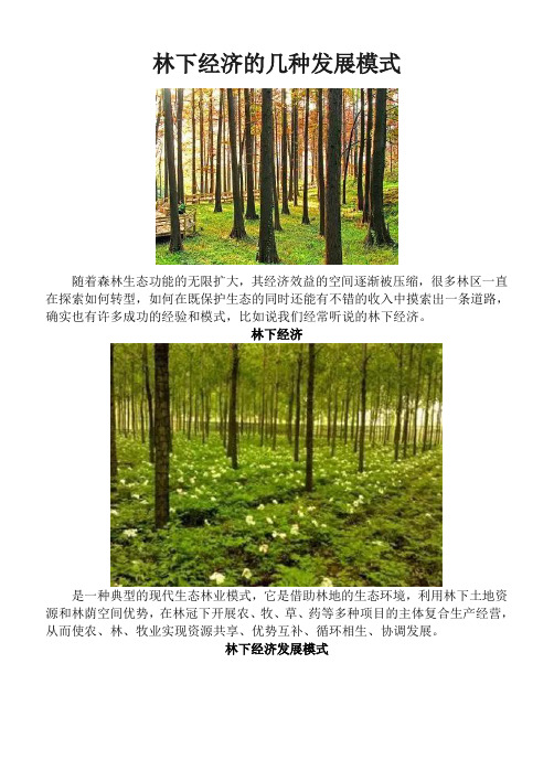 林下经济整理(1)