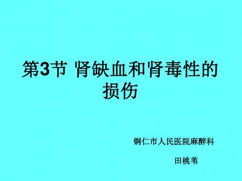 肾缺血和肾毒性的损伤