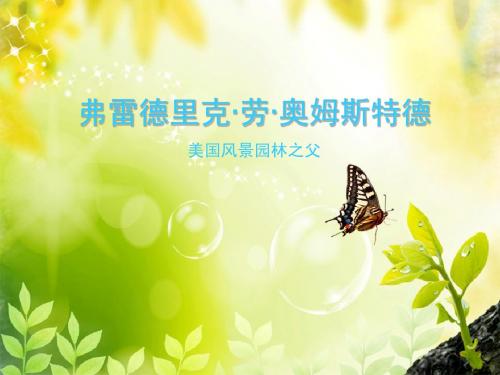奥姆斯特德
