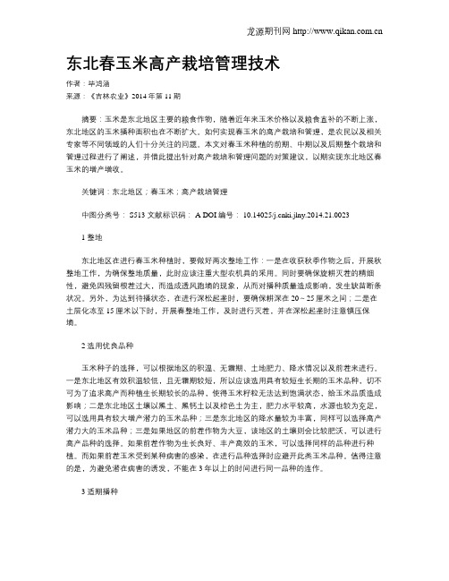 东北春玉米高产栽培管理技术