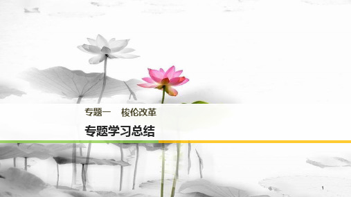 高中历史 专题一 梭伦改革专题学习总结课件 人民版选修1.pptx