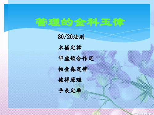 管理的金科玉律PPT课件