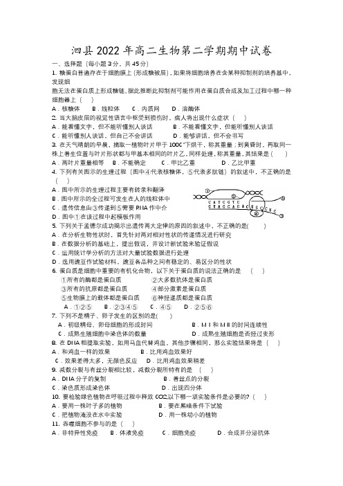 泗县年高二生物第二学期期中试卷