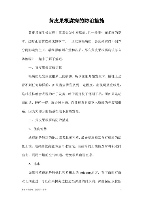 黄皮果根腐病的防治措施