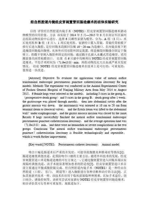 经自然腔道内镜经皮穿刺置管回肠造瘘术的活体实验研究