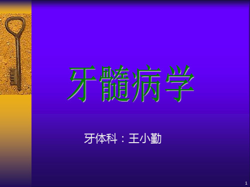 牙体牙髓病学牙髓病的诊断临床表现及诊断ppt课件