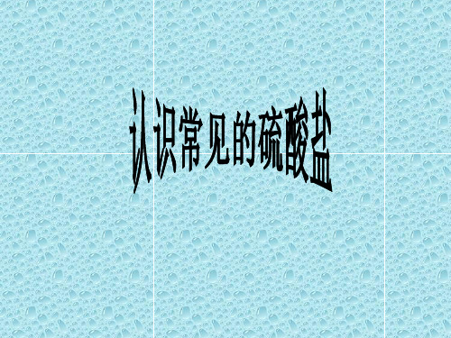 沪科版高一化学必修二5.3.2《认识常见的硫酸盐》课件(共31张PPT)