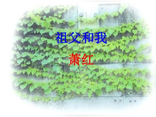 冀教版五级上册《祖父·后园·我》PPT课件
