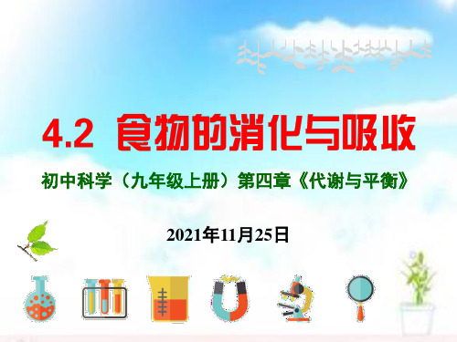 九年级上科学《食物的消化与吸收》PPT完美课件浙教版