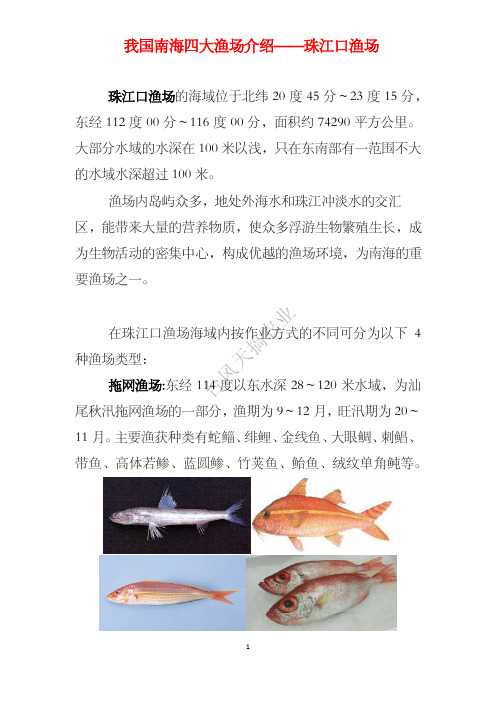 我国南海四大渔场介绍——珠江口渔场