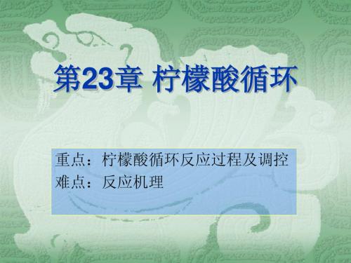 第23章 柠檬酸循环