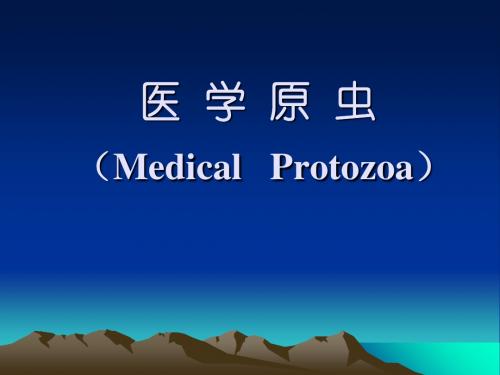 人体寄生虫之原虫-132页精选文档