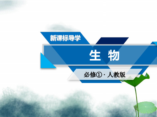 2019版高中生物第六章细胞的生命历程第3节细胞的衰老和凋亡第4节细胞的癌变课件新人教版必修1