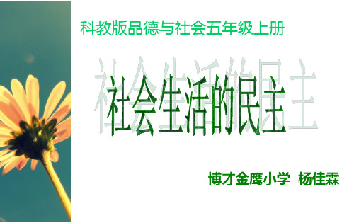 4 社会生活中的民主