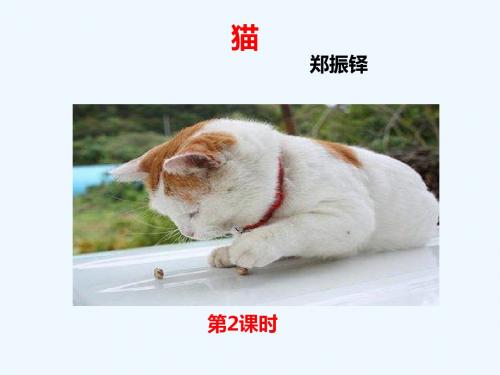 (2016年秋季版)七年级语文上册 第五单元 第17课《猫》课件2概要