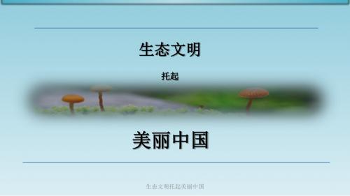 生态文明托起美丽中国