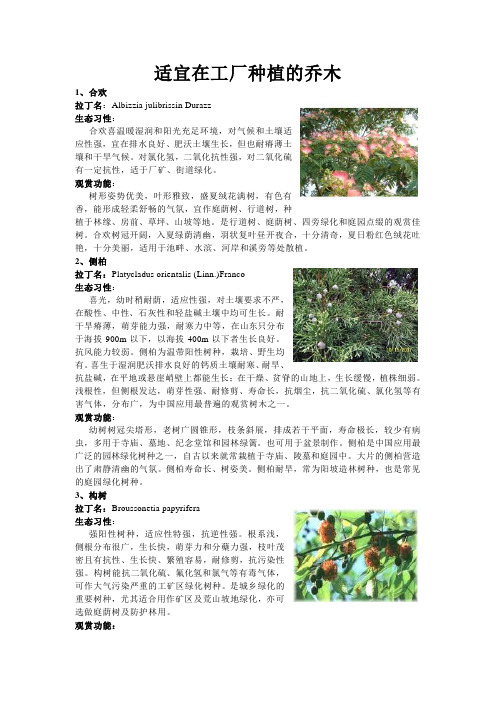 适宜在工厂种植的乔木